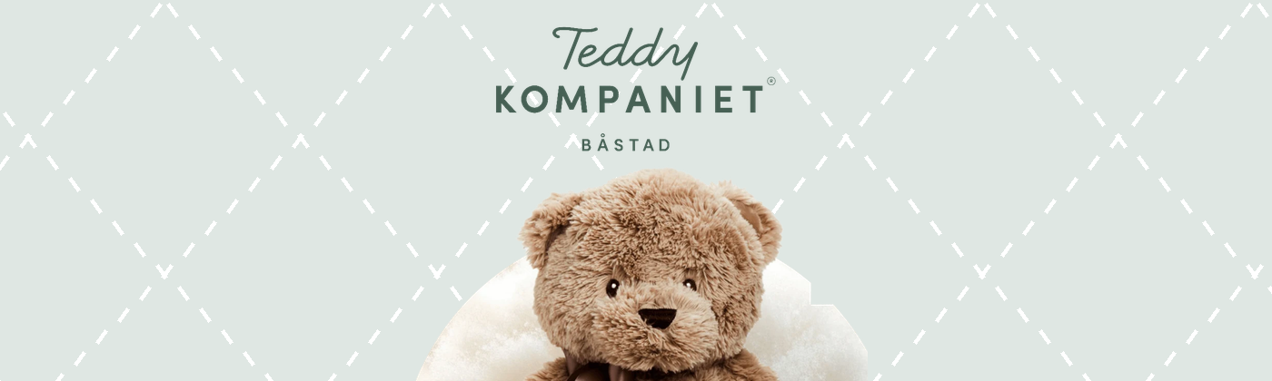 Teddy companient