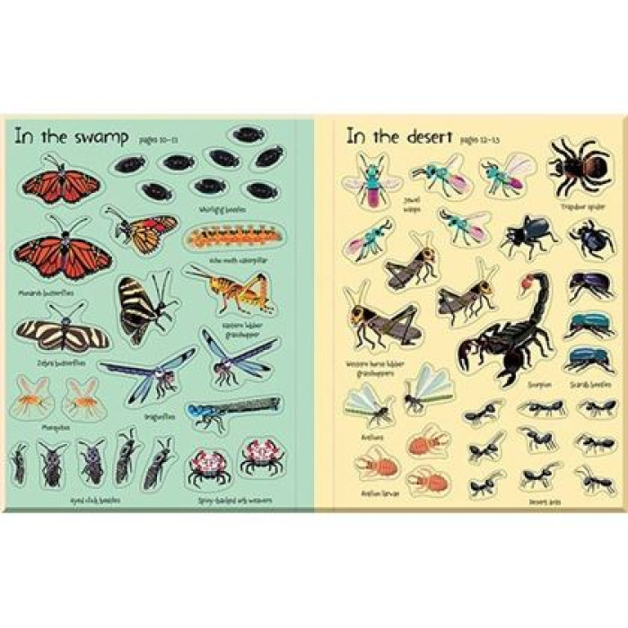 Книга First Sticker Book: Bugs