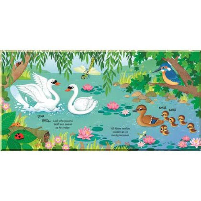Книга Bird Sounds