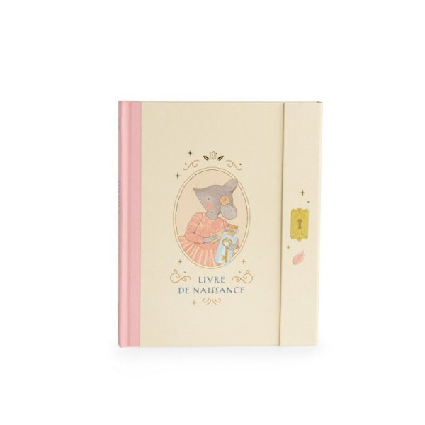 Moulin Roty Перша книга про малюка від народження (80 сторінок) La Petite Ecole de Danse, 667085