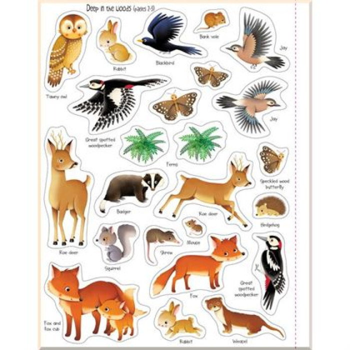 Книга First Sticker Book: Nature