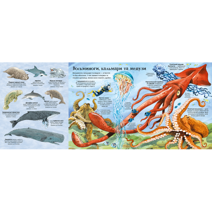 Книга Велика книга морських мешканців