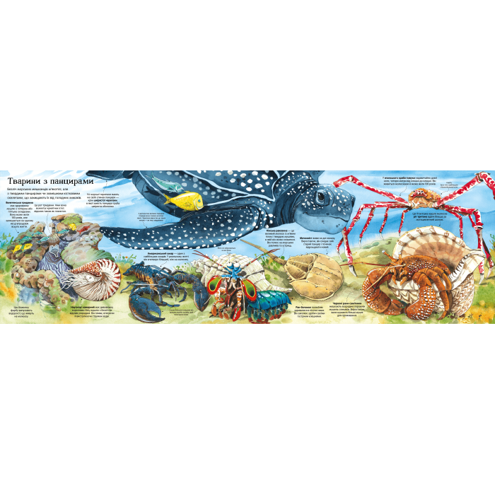 Книга Велика книга морських мешканців