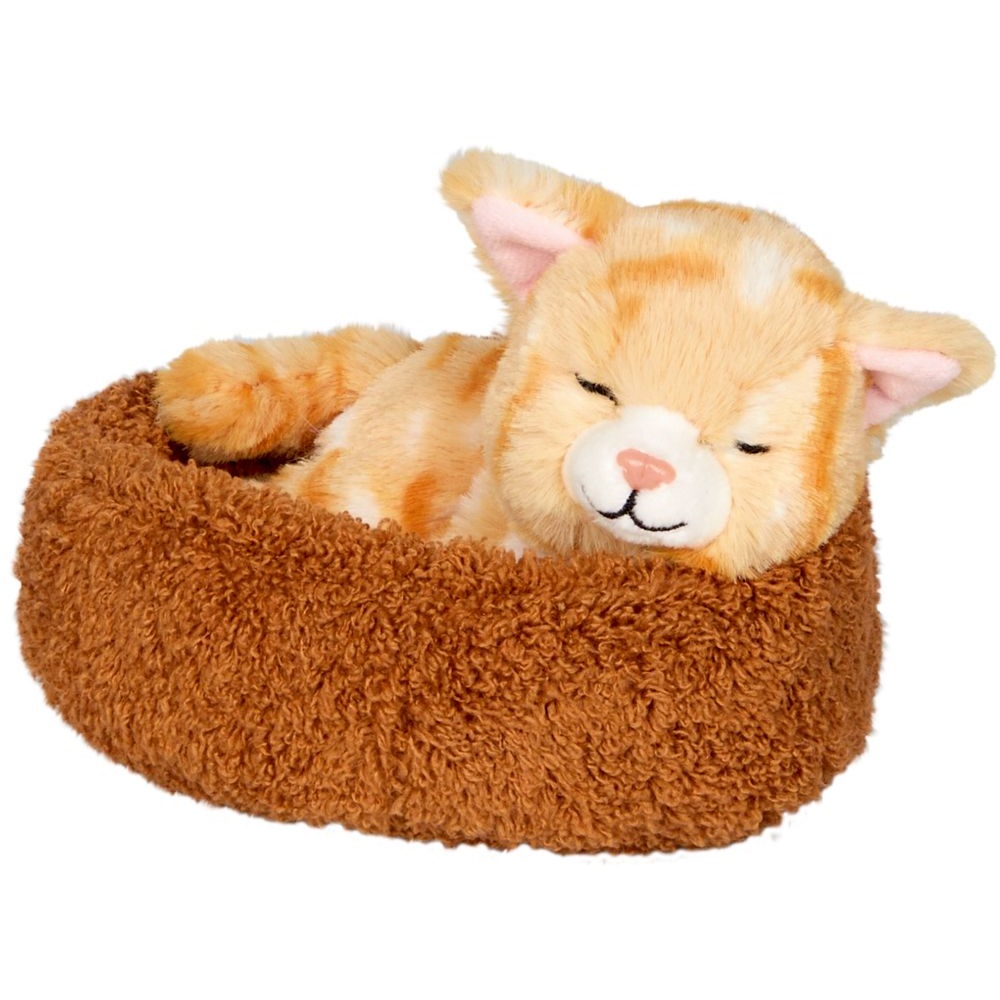 SPIEGELBURG Котик Хлоя, що спить у кошику