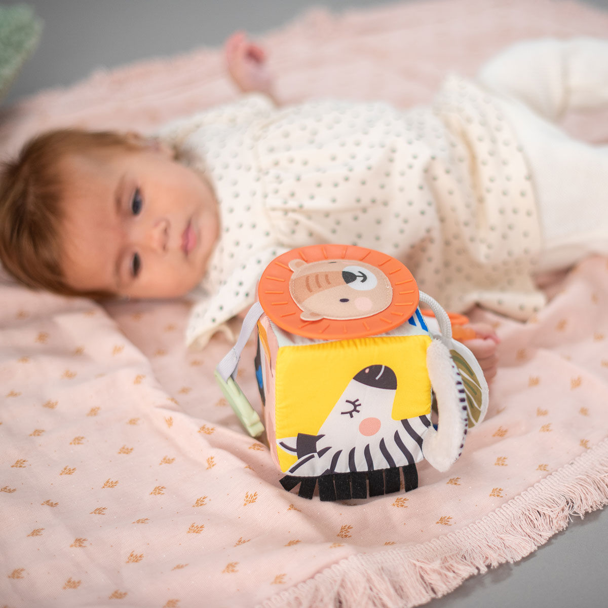 Taf Toys Розвиваюча іграшка-кубик колекції Савана - Веселі Звірята