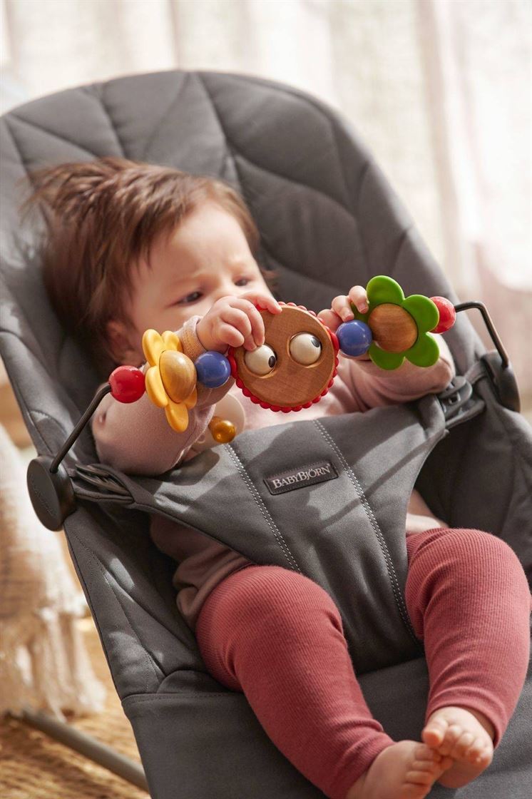 Дуга з іграшками на шезлонг BabyBjorn Balance Googly Eyes Bright
