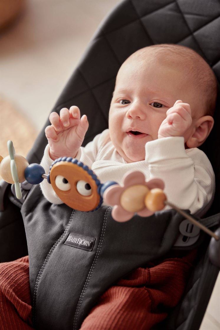 Дуга з іграшками на шезлонг BabyBjorn Balance Googly Eyes Pasteles