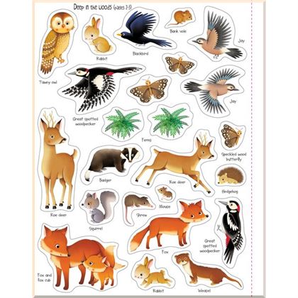 Книга First Sticker Book: Nature