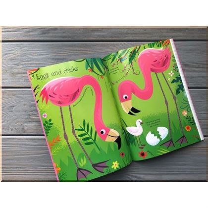 Книга Little First Stickers: Flamingos
