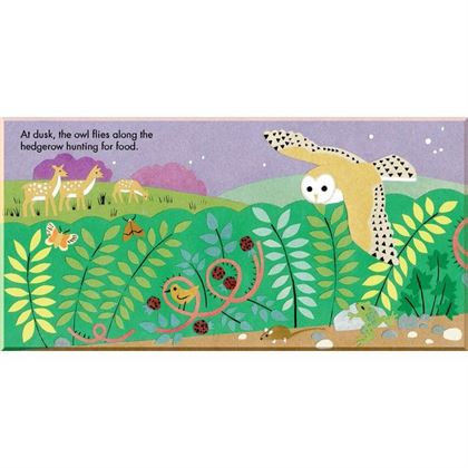 Книга Little Observers: On the Farm