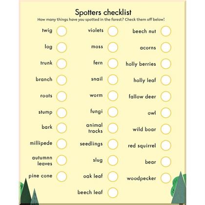 Книга Little Observers: Forest Sticker Book