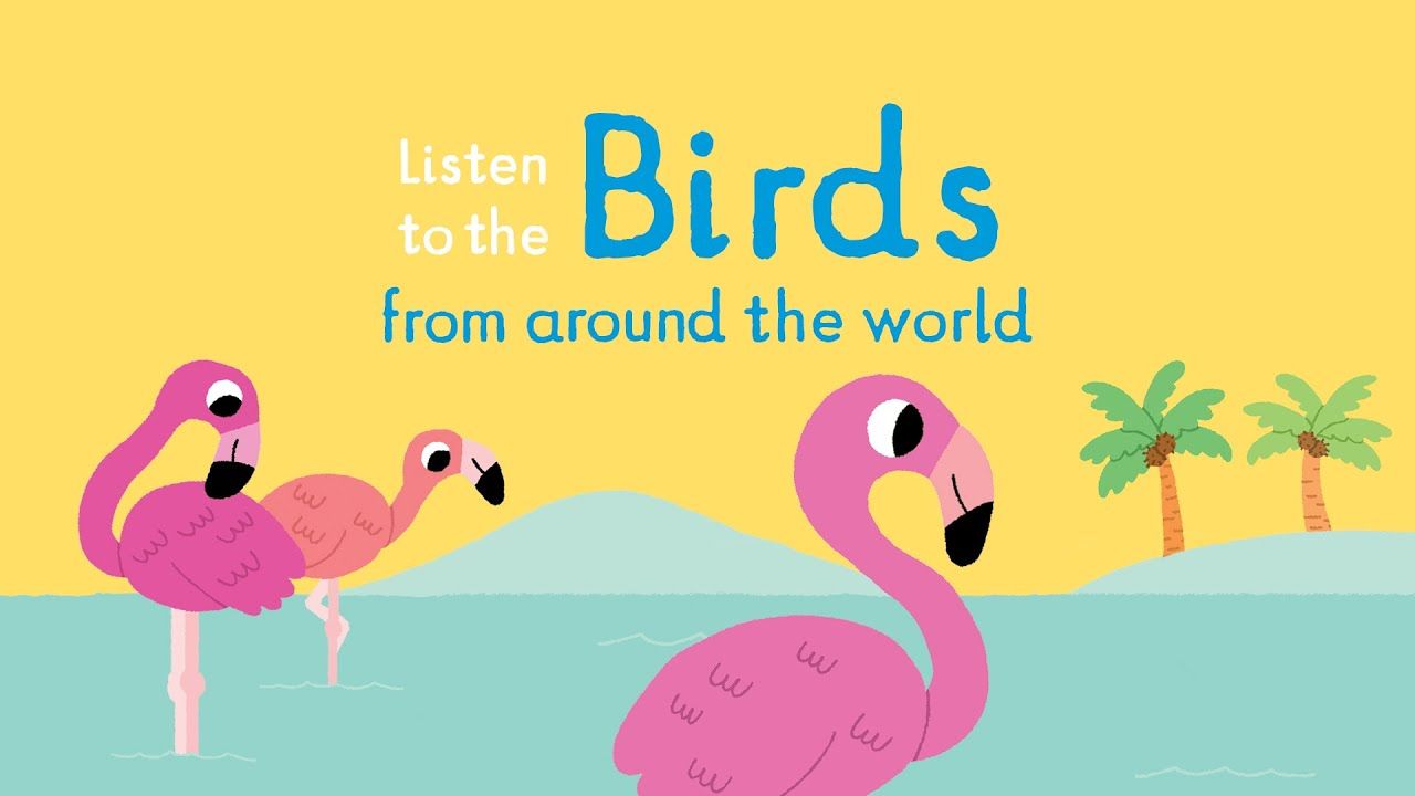 Книга Listen to the Birds from around the World