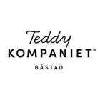 Teddy Companient